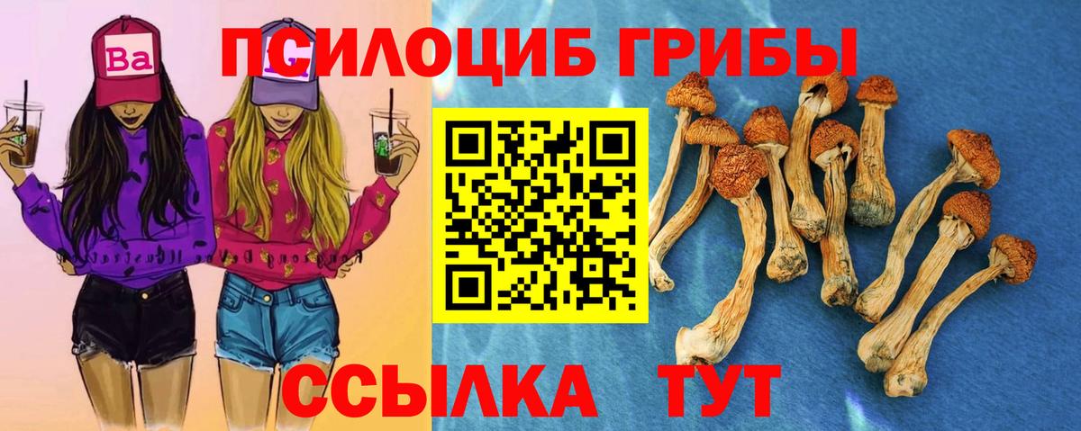 где можно купить   Вход с VPN  Калининград  Галлюциногенные грибы ЛСД 